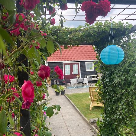 Bed En Brochje De Oase Bed and Breakfast Sweagerbosk Buitenkant foto