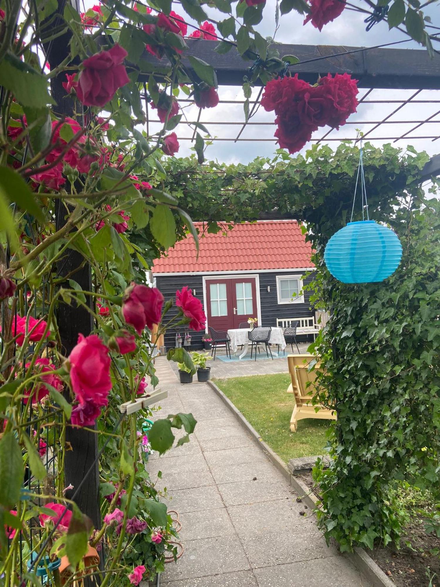 Bed En Brochje De Oase Bed and Breakfast Sweagerbosk Buitenkant foto